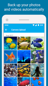 تحميل Sync - Secure cloud storage عمل لنظام أندرويد لقطة شاشة 3