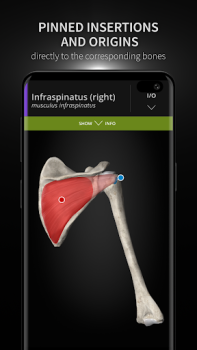 تحميل Anatomyka - 3D Anatomy Atlas الدواء لنظام أندرويد لقطة شاشة 4
