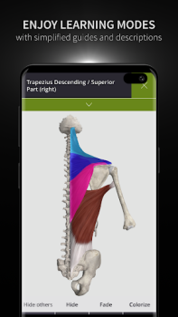 تحميل Anatomyka - 3D Anatomy Atlas الدواء لنظام أندرويد لقطة شاشة 6