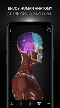 تحميل Anatomyka - 3D Anatomy Atlas الدواء لنظام أندرويد لقطة شاشة 7