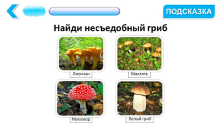 تحميل Подготовка к школе: полный кур التعليم لنظام أندرويد لقطة شاشة 3