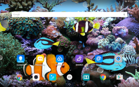 تحميل Coral Fish 3D Live Wallpaper إضفاء الطابع الشخصي لنظام أندرويد لقطة شاشة 6