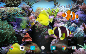 تحميل Coral Fish 3D Live Wallpaper إضفاء الطابع الشخصي لنظام أندرويد لقطة شاشة 7