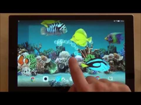 تحميل Coral Fish 3D Live Wallpaper إضفاء الطابع الشخصي لنظام أندرويد لقطة شاشة 8