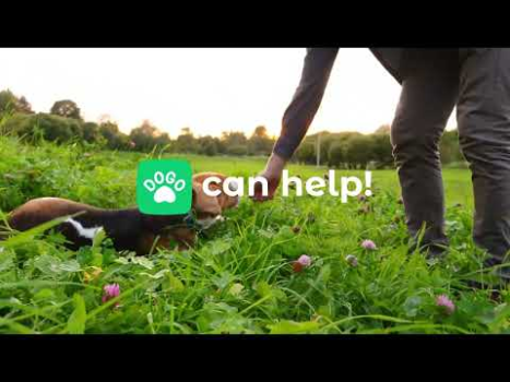 تحميل Dogo — Puppy and Dog Training التعليم لنظام أندرويد لقطة شاشة 8