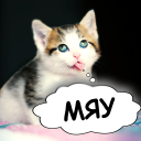 تحميل  Cat translator. Cat sounds. Meow joke
