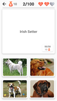 تحميل Dog Breeds - Quiz about dogs! أمور تافهة لنظام أندرويد لقطة شاشة 5