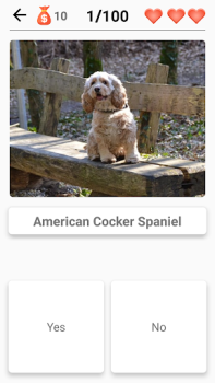 تحميل Dog Breeds - Quiz about dogs! أمور تافهة لنظام أندرويد لقطة شاشة 7