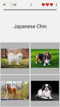 تحميل Dogs Quiz - Guess All Breeds! أمور تافهة لنظام أندرويد لقطة شاشة 4
