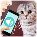 تحميل  Переводчик на кошачий язык