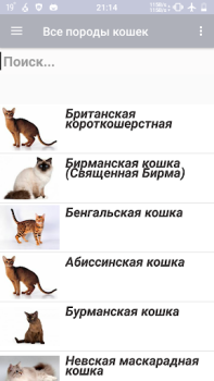 تحميل Все породы кошек الكتب والمراجع لنظام أندرويد لقطة شاشة 2