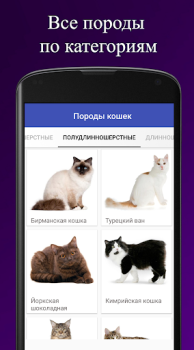 تحميل Породы кошек. Справочник пород الكتب والمراجع لنظام أندرويد لقطة شاشة 2
