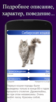 تحميل Породы кошек. Справочник пород الكتب والمراجع لنظام أندرويد لقطة شاشة 3