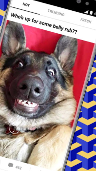 تحميل 9GAG: Funny GIF, Meme & Video وسائل الترفيه لنظام أندرويد لقطة شاشة 2
