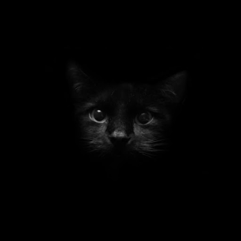 تحميل Black Live Wallpaper إضفاء الطابع الشخصي لنظام أندرويد لقطة شاشة 5