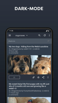 تحميل BaconReader for Reddit الأخبار والمجلات لنظام أندرويد لقطة شاشة 2