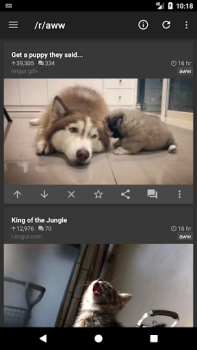 تحميل rif is fun for Reddit الأخبار والمجلات لنظام أندرويد لقطة شاشة 4