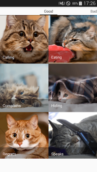 تحميل Cat sounds - play with cats وسائل الترفيه لنظام أندرويد لقطة شاشة 5