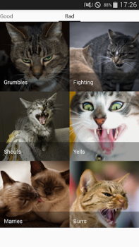 تحميل Cat sounds - play with cats وسائل الترفيه لنظام أندرويد لقطة شاشة 7