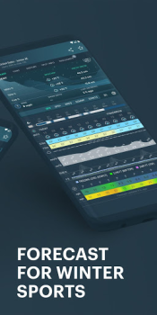 تحميل Windy.app - الرياح والطقس طقس لنظام أندرويد لقطة شاشة 4
