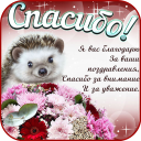 تحميل  Открытки и Kартинки Спасибо и Благодарю