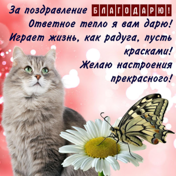 تحميل Открытки и Kартинки Спасибо и Благодарю وسائل الترفيه لنظام أندرويد لقطة شاشة 5