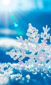 تحميل Falling Snow Live Wallpaper (live background) إضفاء الطابع الشخصي لنظام أندرويد لقطة شاشة 2