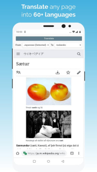 متصفح Kiwi - سريع وهادئ