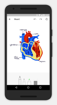 Notebook-سجل ملاحظات
