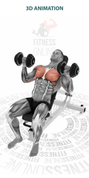 تحميل Fitness تمارين العضلات البدنية الصحة واللياقة البدنية لنظام أندرويد لقطة شاشة 4