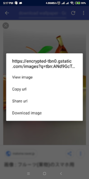 IDM - Download Manager Plus