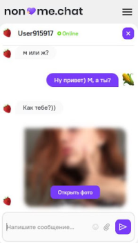 تحميل Анонимный чат [NoName.Chat] التعارف لنظام أندرويد لقطة شاشة 4