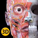 تحميل  Anatomy 3D Atlas