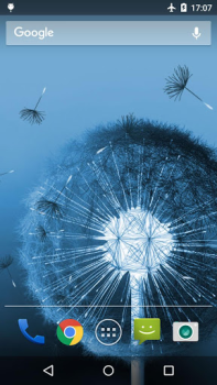 تحميل Dandelion Live Wallpaper إضفاء الطابع الشخصي لنظام أندرويد لقطة شاشة 2
