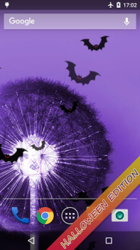 تحميل Dandelion Live Wallpaper إضفاء الطابع الشخصي لنظام أندرويد لقطة شاشة 4
