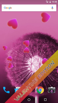 تحميل Dandelion Live Wallpaper إضفاء الطابع الشخصي لنظام أندرويد لقطة شاشة 5