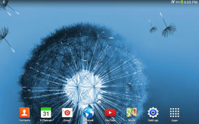 تحميل Dandelion Live Wallpaper إضفاء الطابع الشخصي لنظام أندرويد لقطة شاشة 7