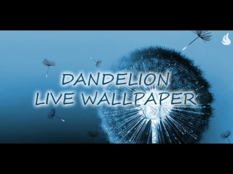 تحميل Dandelion Live Wallpaper إضفاء الطابع الشخصي لنظام أندرويد لقطة شاشة 8