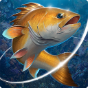 تحميل  Fishing Hook