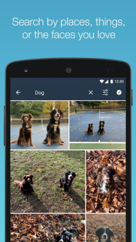 تحميل Amazon Photos صورة فوتوغرافية لنظام أندرويد لقطة شاشة 4