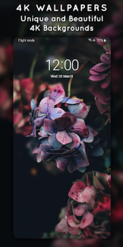 تحميل 4K Wallpapers, Auto Changer إضفاء الطابع الشخصي لنظام أندرويد لقطة شاشة 4