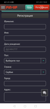 تحميل Pin-up وسائل الترفيه لنظام أندرويد لقطة شاشة 2