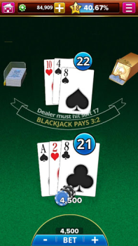 تحميل BLACKJACK! ألعاب اللوح لنظام أندرويد لقطة شاشة 5