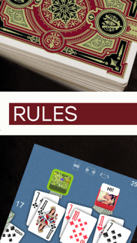 تحميل Durak - Rules of Card Games الكتب والمراجع لنظام أندرويد لقطة شاشة 3
