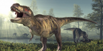 تحميل Dino Hunter - Wild Jurassic Hunting Expedition العاب اكشن لنظام أندرويد لقطة شاشة 3