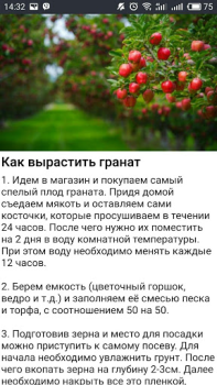 تحميل Дача и огород Хитрости Советы الكتب والمراجع لنظام أندرويد لقطة شاشة 3