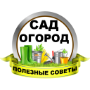 تحميل  Сад и огород Полезные советы