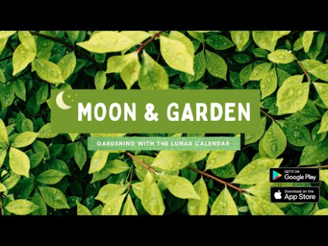 تحميل Moon & Garden أسلوب الحياة لنظام أندرويد لقطة شاشة 8