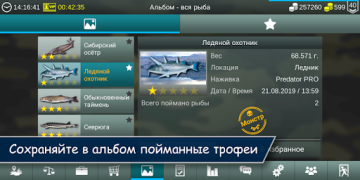 My Fishing World