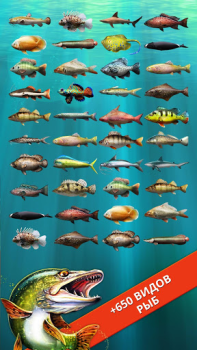 Let's Fish: لعبة صيد السمك